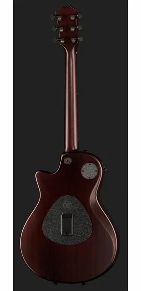 Taylor T5z Classic Koa, detalj 3