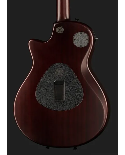 Taylor T5z Classic Koa, detalj 5