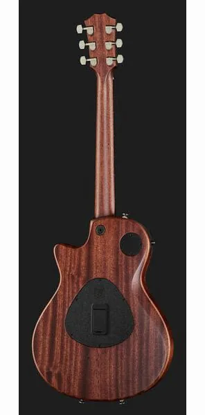 Taylor T5z Classic, detalj 3