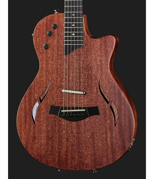 Taylor T5z Classic, detalj 4