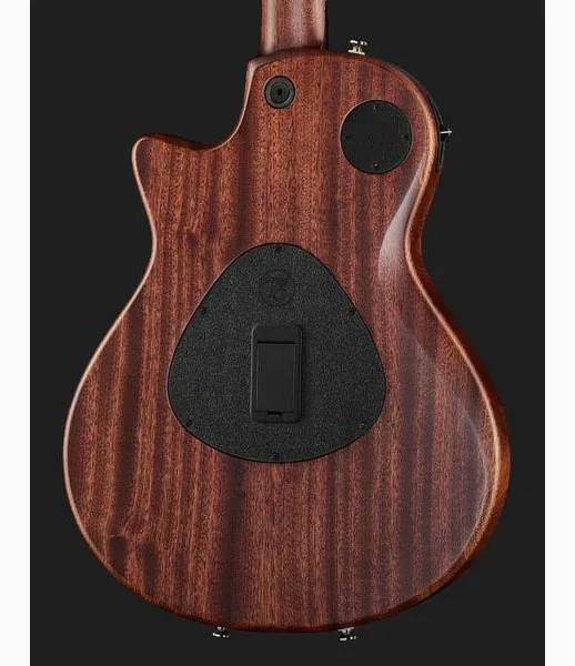 Taylor T5z Classic, detalj 5