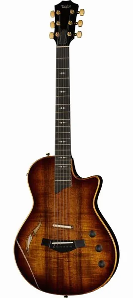 Taylor T5z Custom Koa framifrån