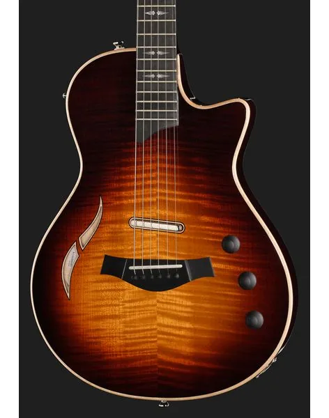 Taylor T5z Pro TSB, detalj 4