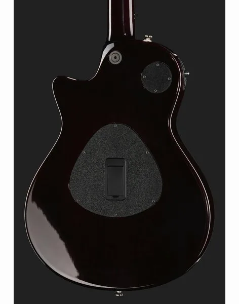 Taylor T5z Pro TSB, detalj 5