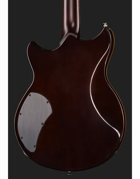 Yamaha Revstar RSP20X R. Br. Charcoal, detalj 5